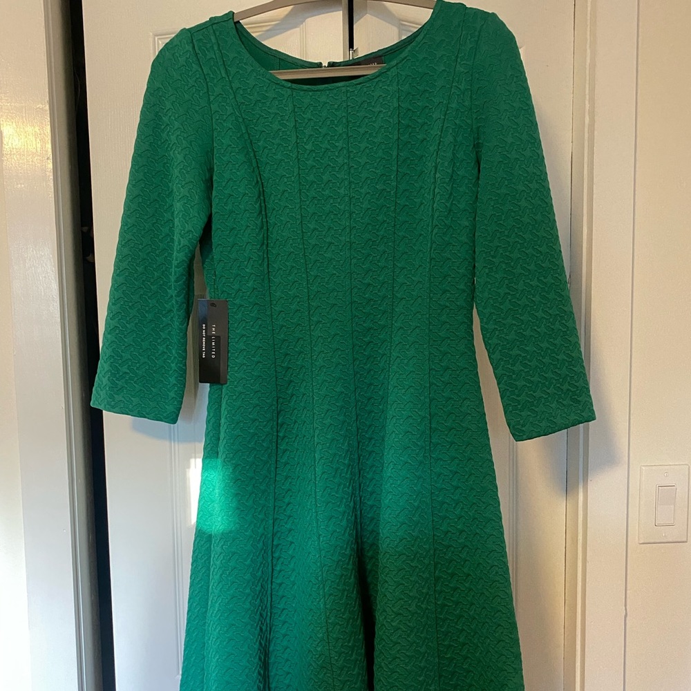 The Limited Dress Green Size S